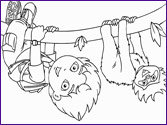 Jeu Coloriage diego Afrique