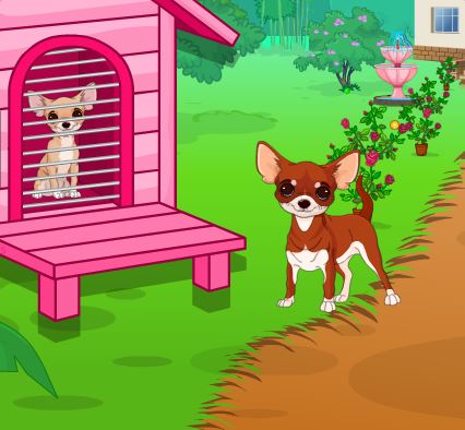 Jeu Evasion de chihuahua