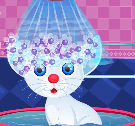 Jeu Soins pour le petit chat