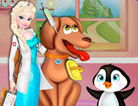 Jeu L hopital des animaux de Elsa reine des neiges