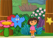 Jeu Dora sauve la map