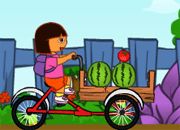 Jeu Dora la livreuse