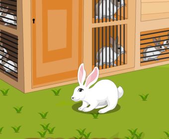 Jeu Le lapin fuit l aigle