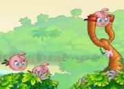Jeu Angry Birds Stella 2
