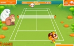 Jeu Crazy Tennis