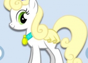 Jeu Créer ton petit poney