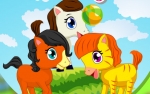 Jeu Cute Poney