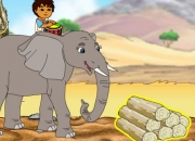 Jeu Diego au Safari