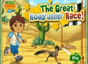 Jeu Diego et la course du grand Géocoucou