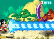 Jeu Dragon Ball Z Fierce Fighting