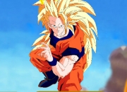 Jeu Dragon Ball z vs Villian