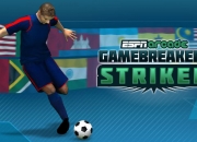 Jeu Foot Buteur 2014