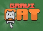Jeu Gravi Chat
