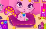 Jeu Habiller Chat