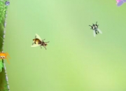 Jeu Itsy bitsy spider