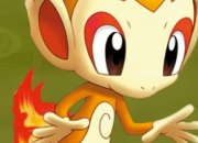 Jeu Libert les Pokemons