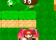 Jeu Mario bros