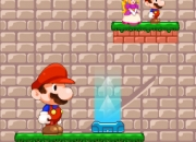 Jeu Mario grande journee