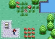 Jeu Pokemon Online