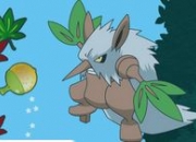 Jeu Pokémon Voltige de noisettes de Tengalice