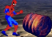 Jeu Spiderman Bloody Rage