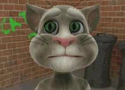 Jeu Talking Tom Cat