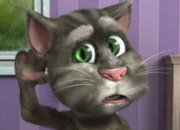 Jeu Talking Tom Cat 2